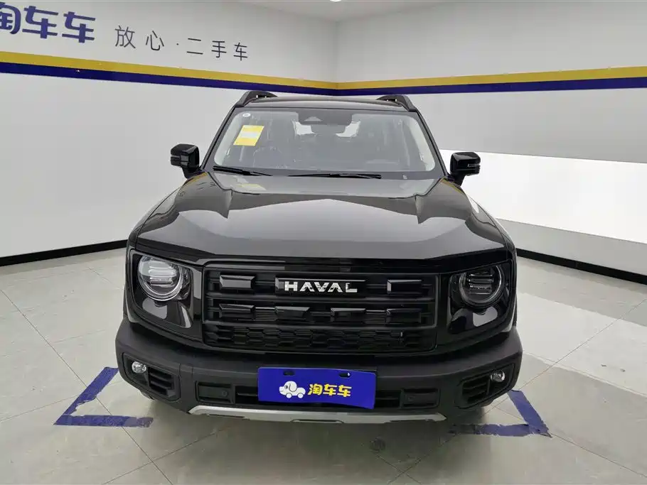 HAVAL BIG DOG