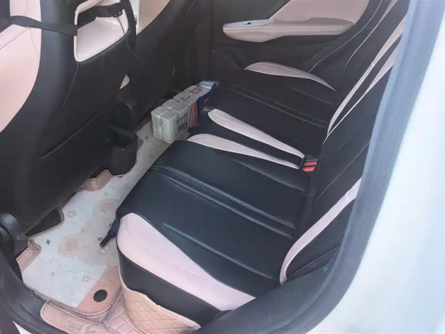 BYD Seagull 2023 Freedom Edition фото 11