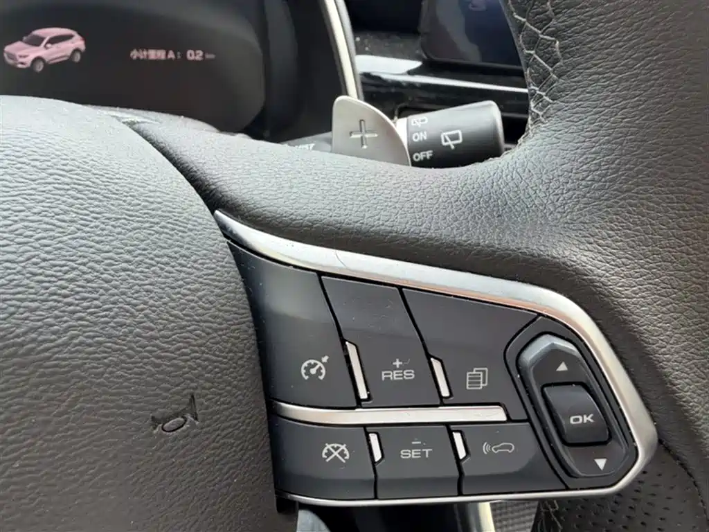 Haval H6 2023 National Trend Edition 1.5T Automatic Champion фото 24