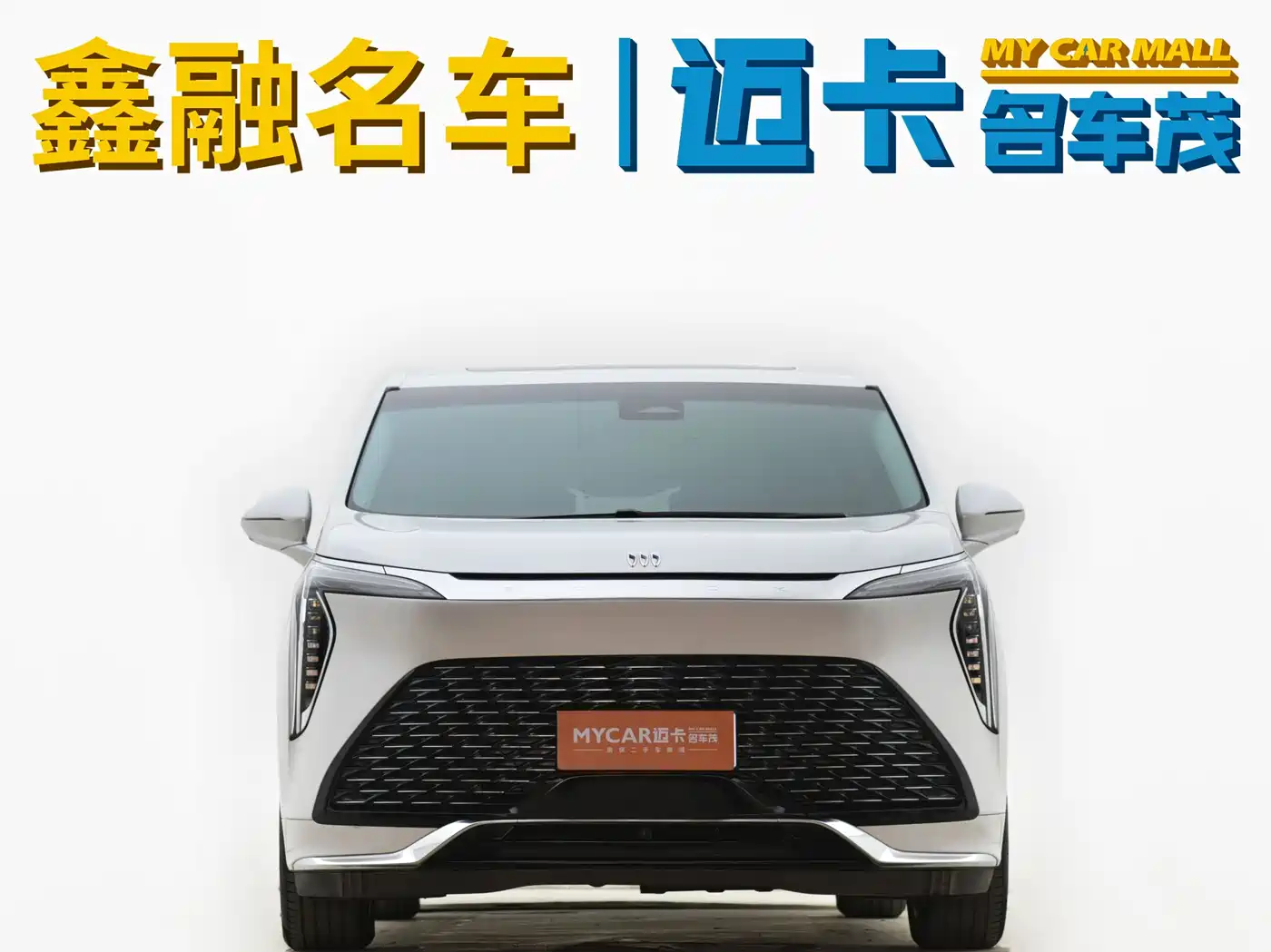 Buick Century 2023 2.0T 6-Seat World Edition фото 4
