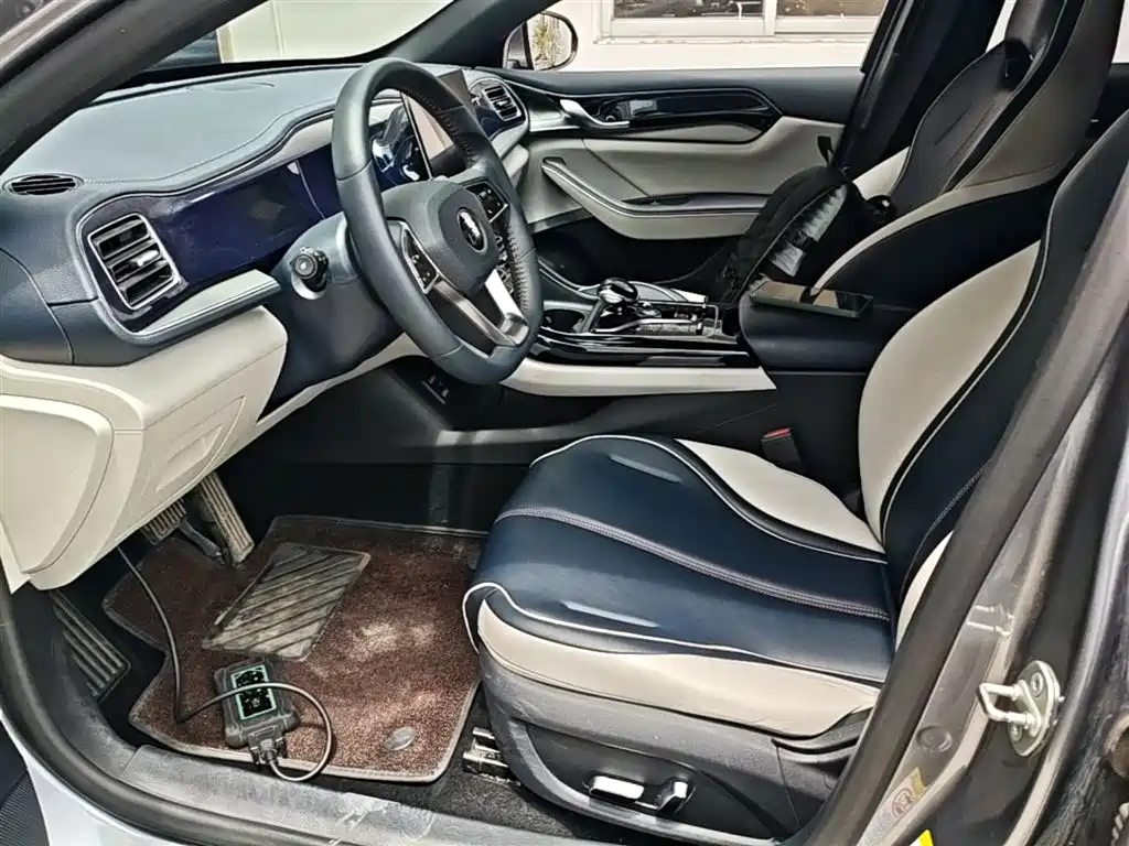 BYD Qin PLUS 2021 DM-i 55KM Flagship фото 15