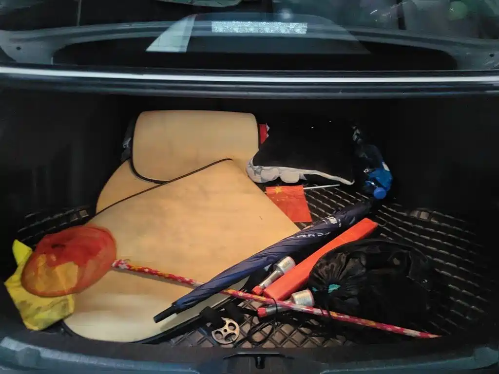 VOLKSWAGEN LINGDU