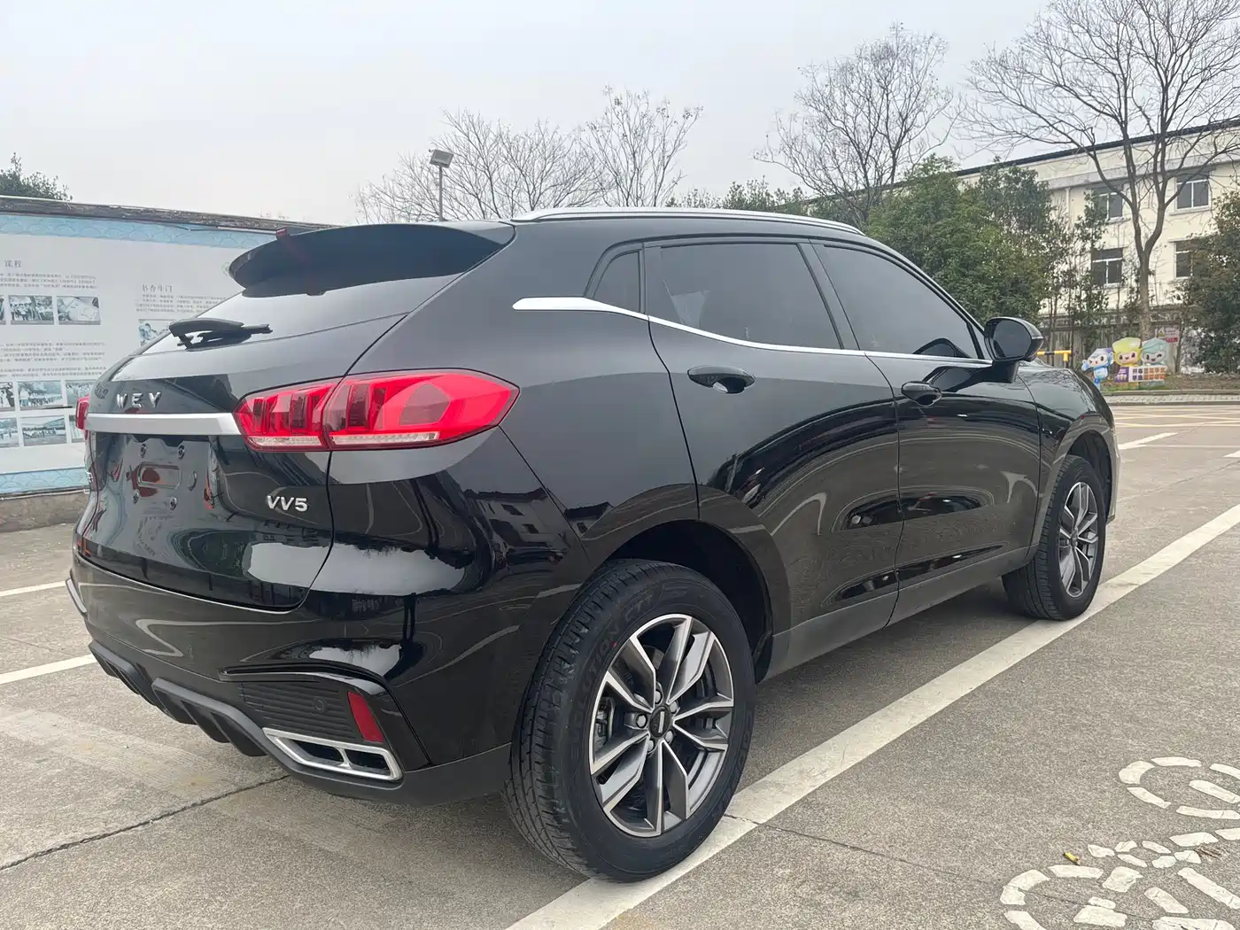 WEI PAI WEI BRAND VV5