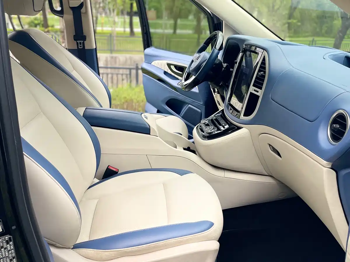 Mercedes-Benz Vito 2018 2.0T Business Edition China VI фото 14