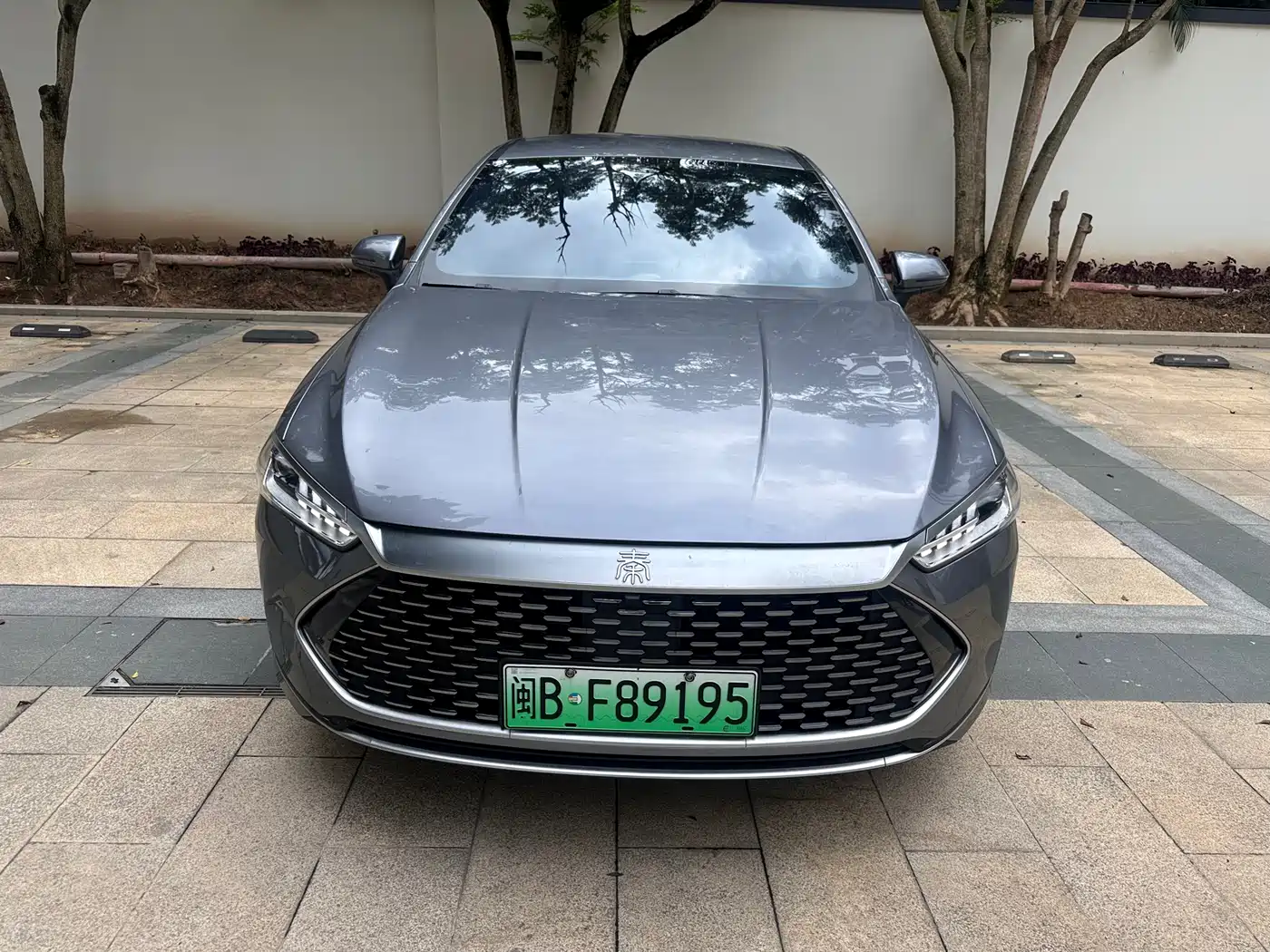 BYD Qin PLUS 2021 DM-i 55KM Premium фото 2