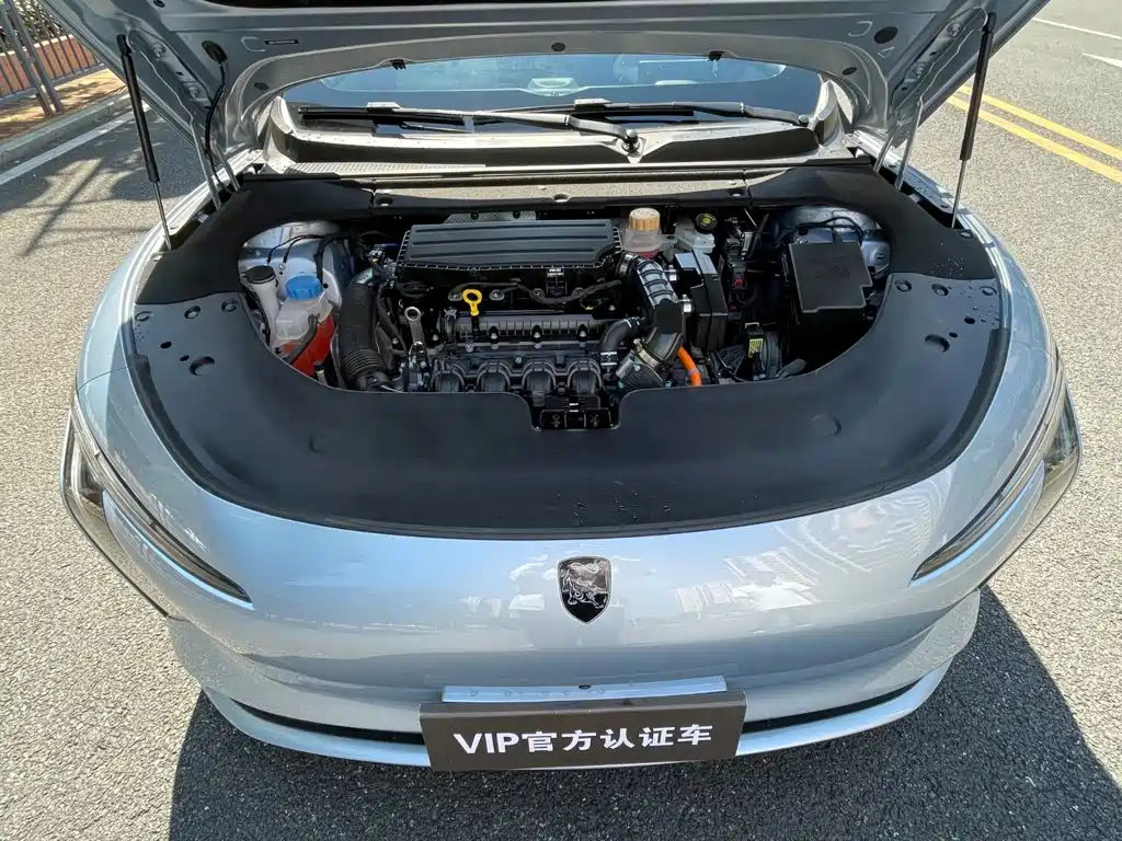 صورة 18 - Dongfeng Fengxing Stellar S7