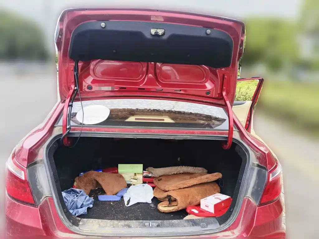 Photo 4 - Changan Eado