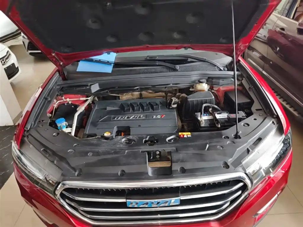 Haval H6 Coupe 2016 Blue Label 1.5T Automatic 2WD Elite фото 20