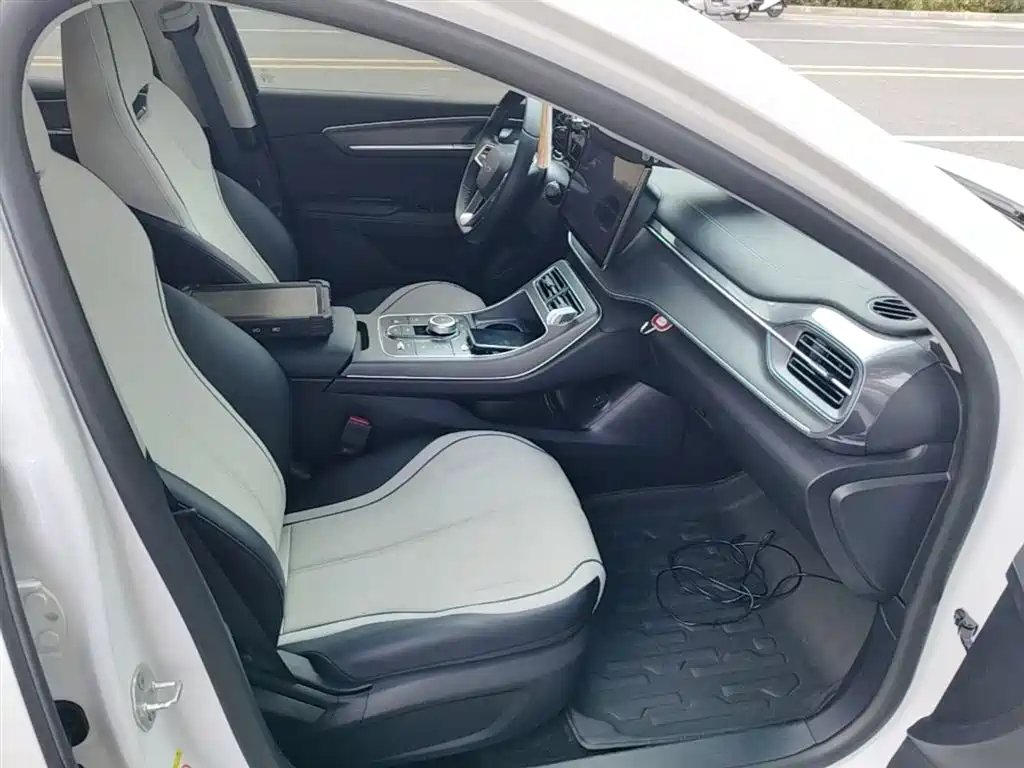 BYD Destroyer 05 2024 Glory Edition DM-i 55KM Luxury фото 25
