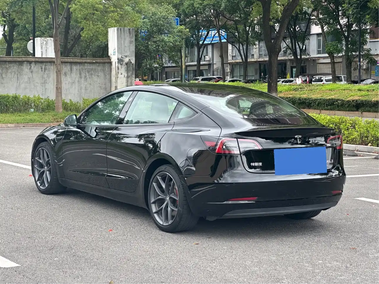 Фото 6 - Tesla Model 3