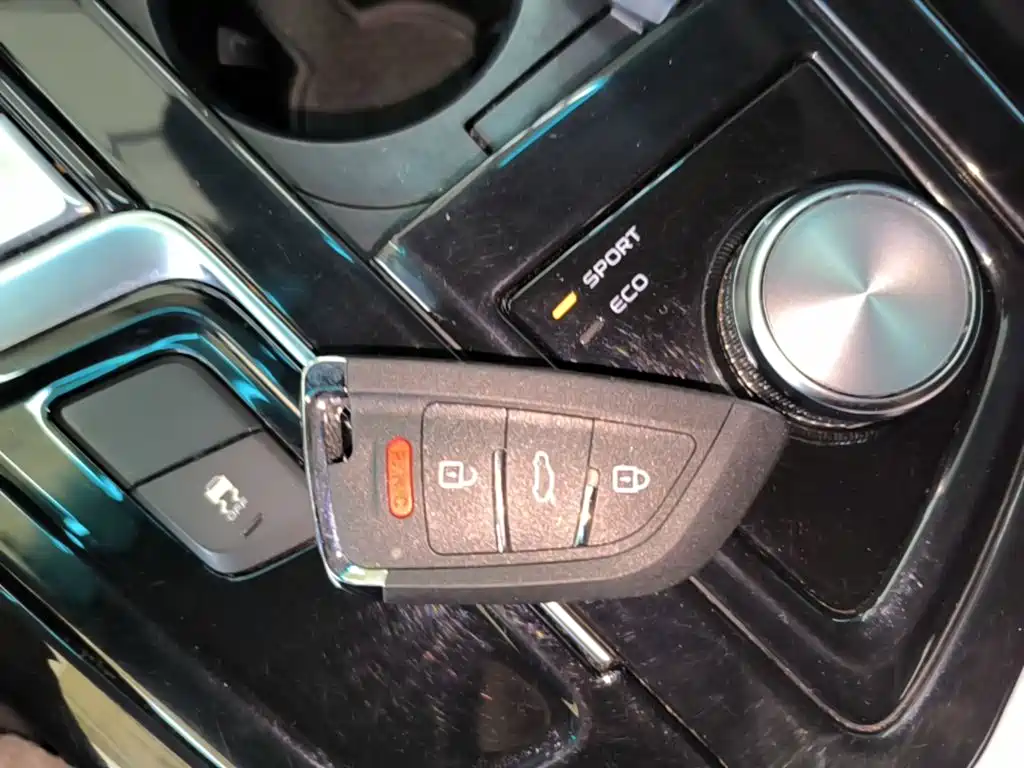 Фото 9 - Geely Borui