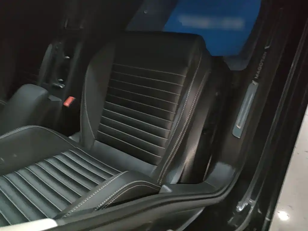 Volkswagen Magotan 2020 330TSI DSG Leading фото 25