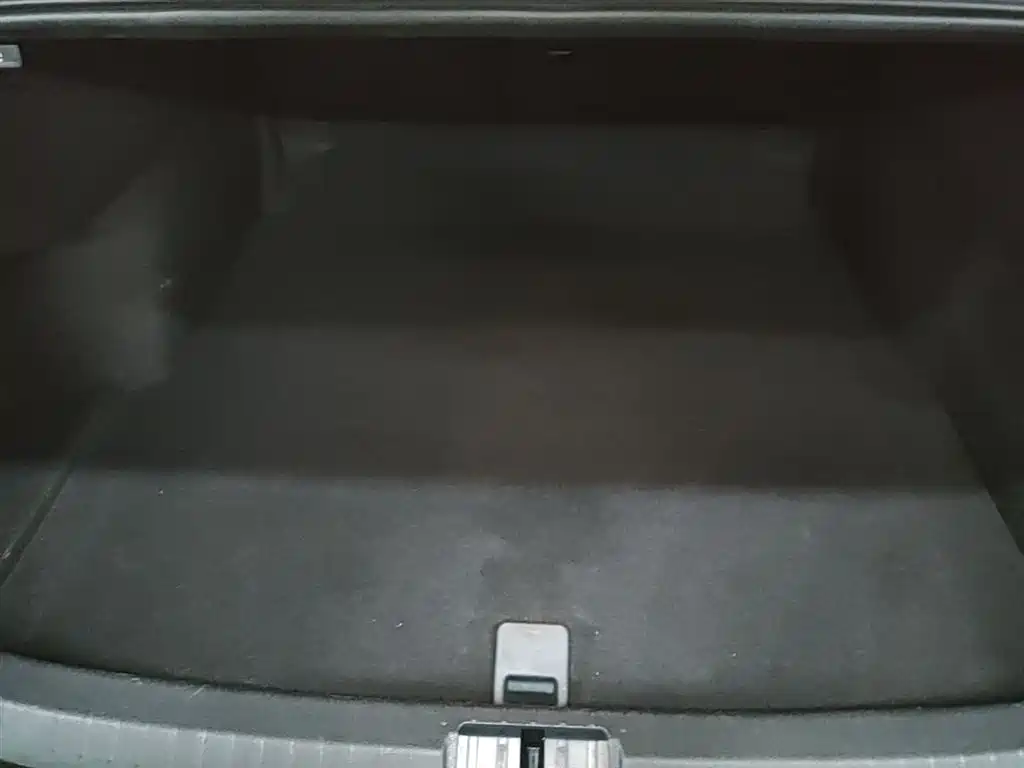 Volkswagen Magotan 2020 330TSI DSG Leading фото 19