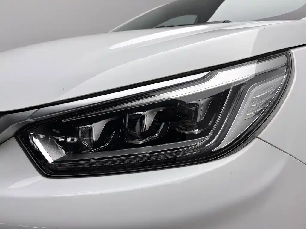 BYD Yuan Pro 2023 2023 401KM Premium