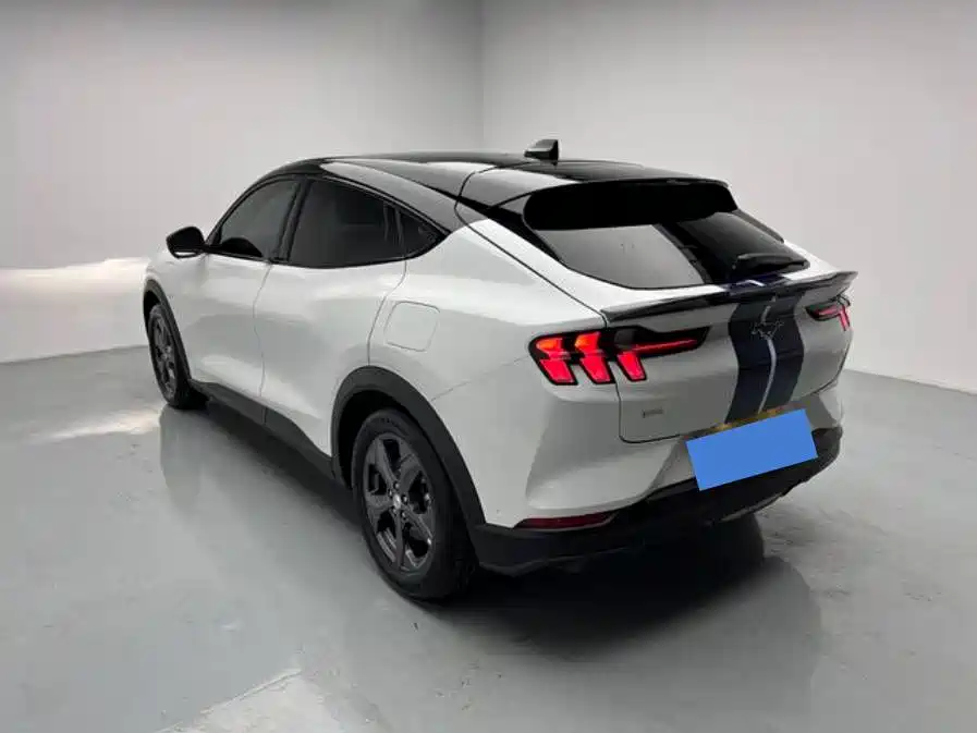 Ford Mustang Mach-E 2023 2021 Leap World RWD (Standard Range)