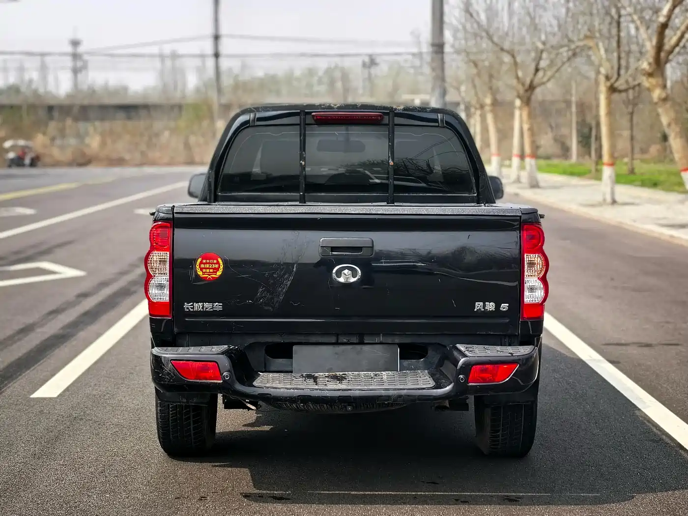 GREAT WALL FENGJUN 5