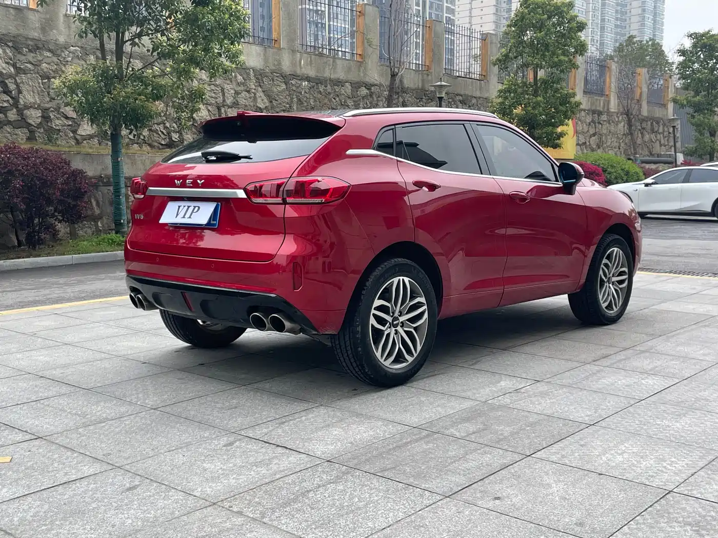 WEI PAI WEI BRAND VV5