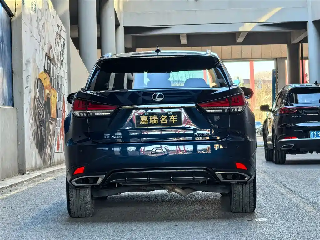 Lexus RX 2021 300 AWD F SPORT фото 3