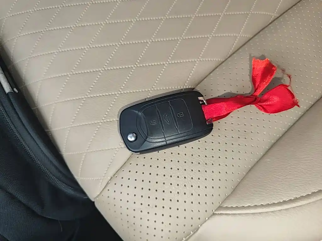 Baojun 310W 2017 2017 1.5L Manual Fashion Edition (China V)