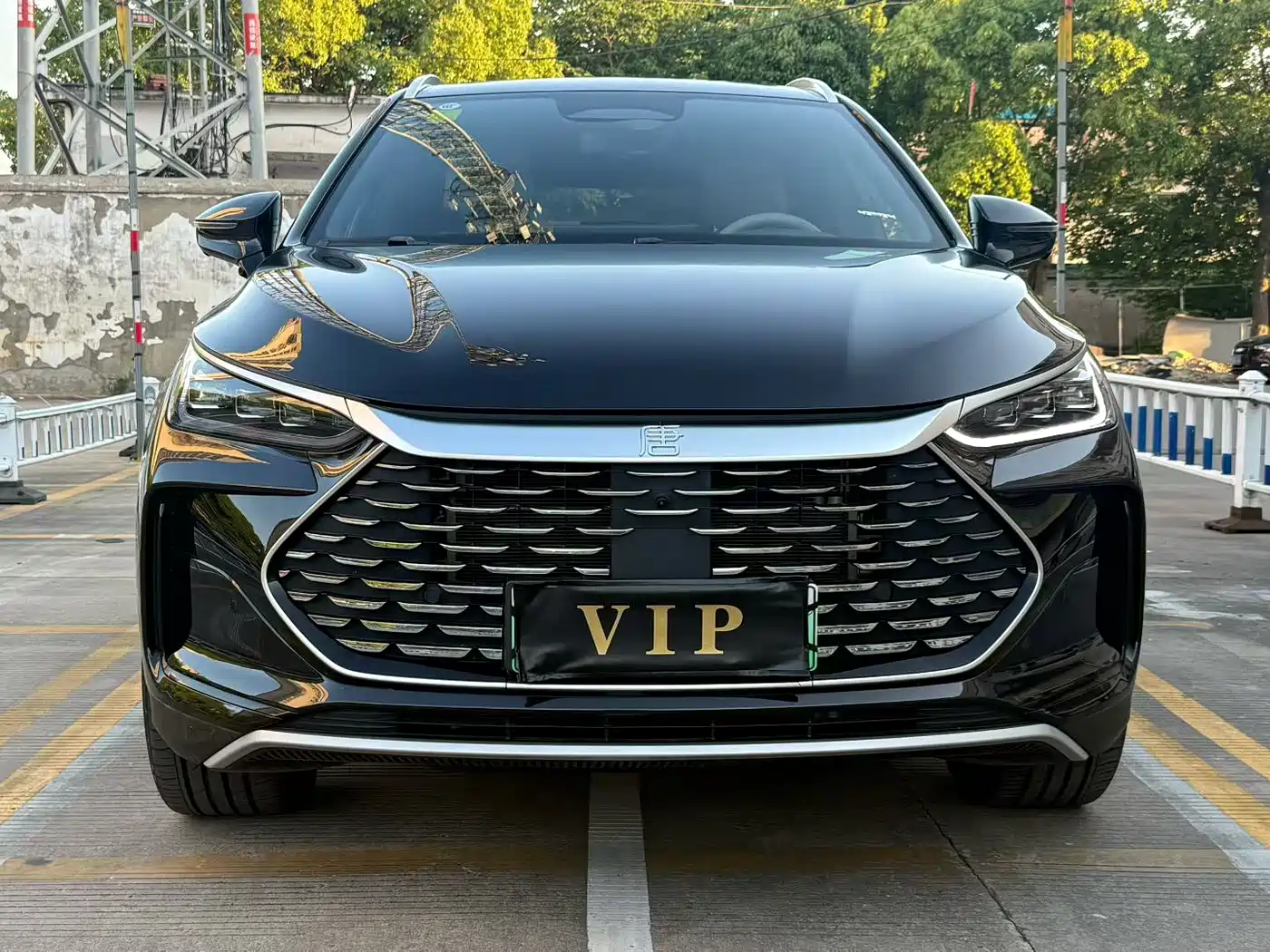 BYD Tang New Energy 2025 Smart Driving Edition DM-i 115KM Flagship фото 2