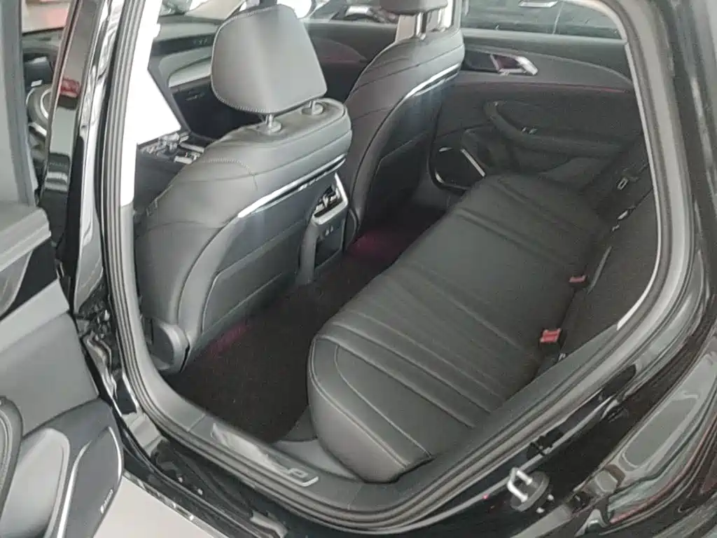 Фото 22 - Hongqi H5