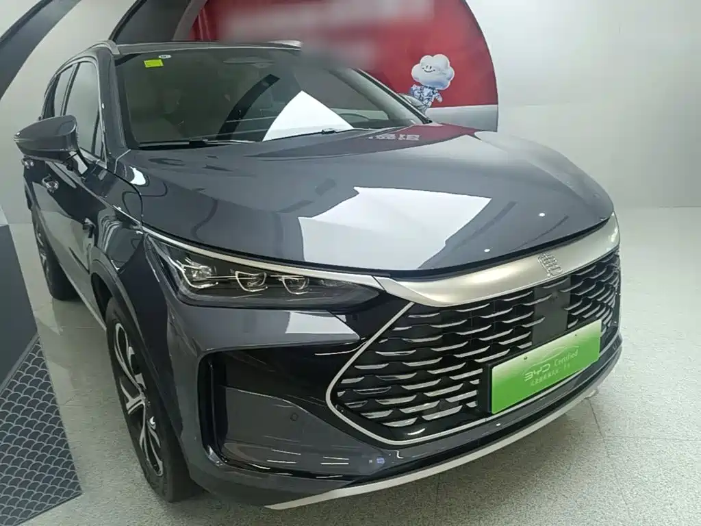 Фото 4 - BYD Tang New Energy
