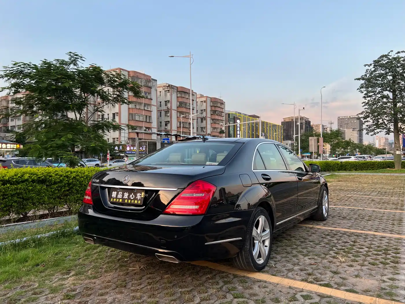 Mercedes-Benz S-Class 2010 S 350 L Luxury фото 6