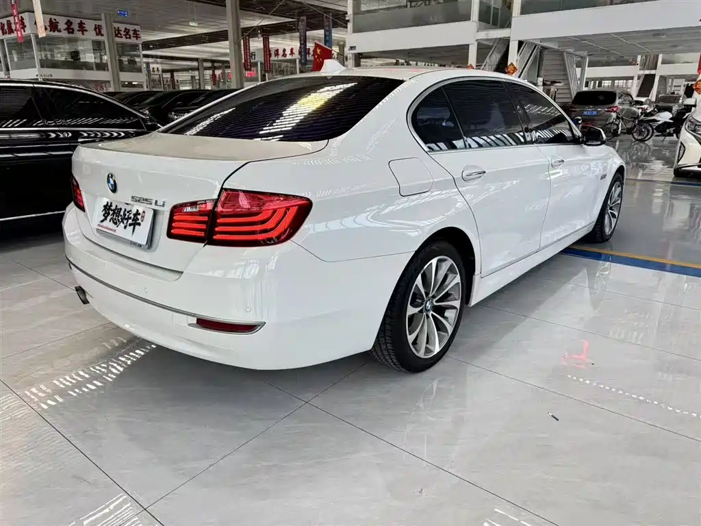 BMW 5 Series 2014 525Li Fashion Design Package фото 5