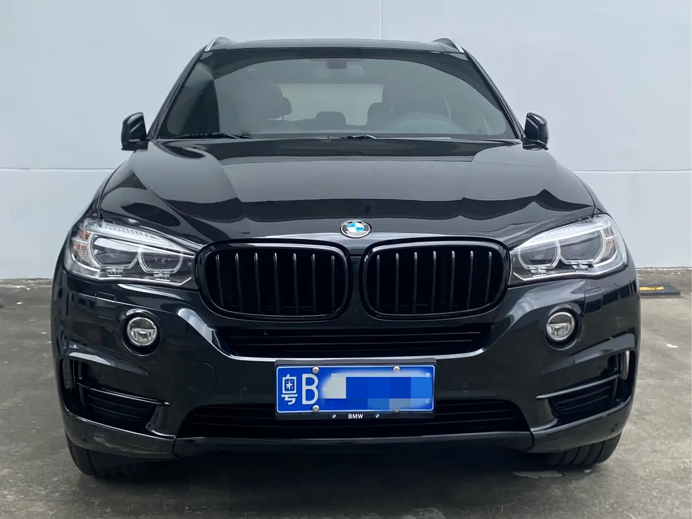 BMW X5 (Import) 2014 xDrive35i Elegance фото 2