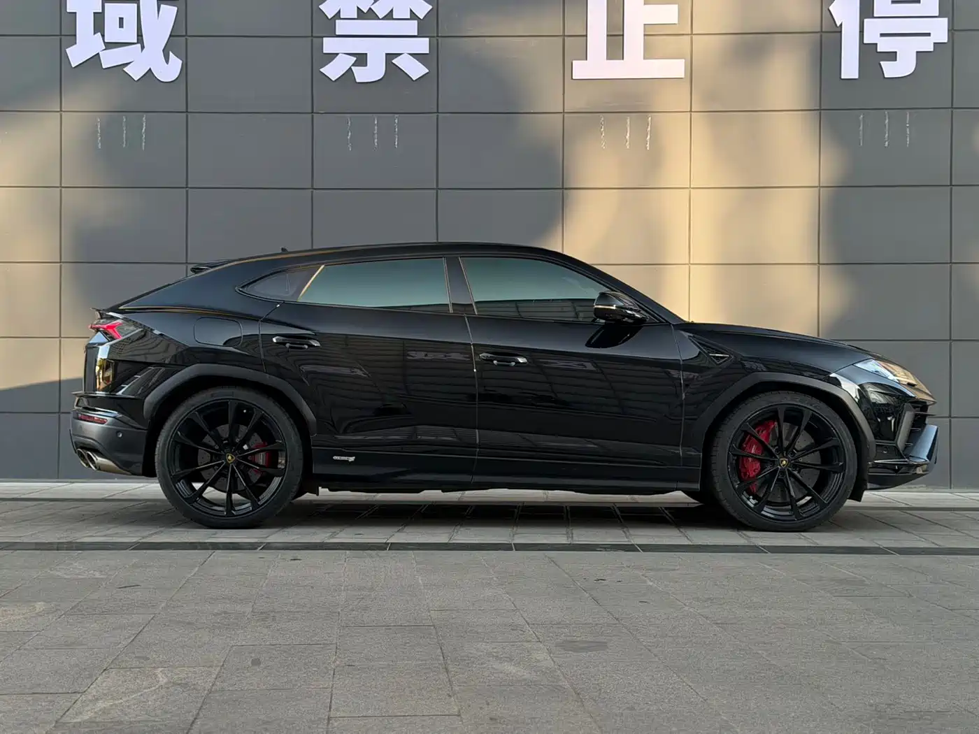 Lamborghini Urus 2023 4.0T V8 S фото 9