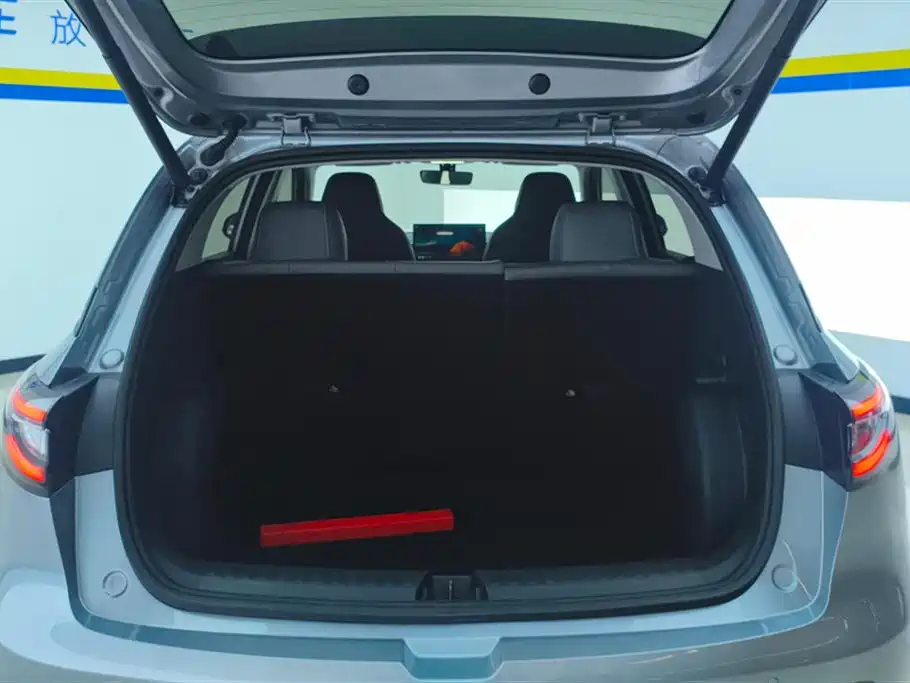 Geely Galaxy Starry Wish 2025 UP 410km Explorer Edition фото 4