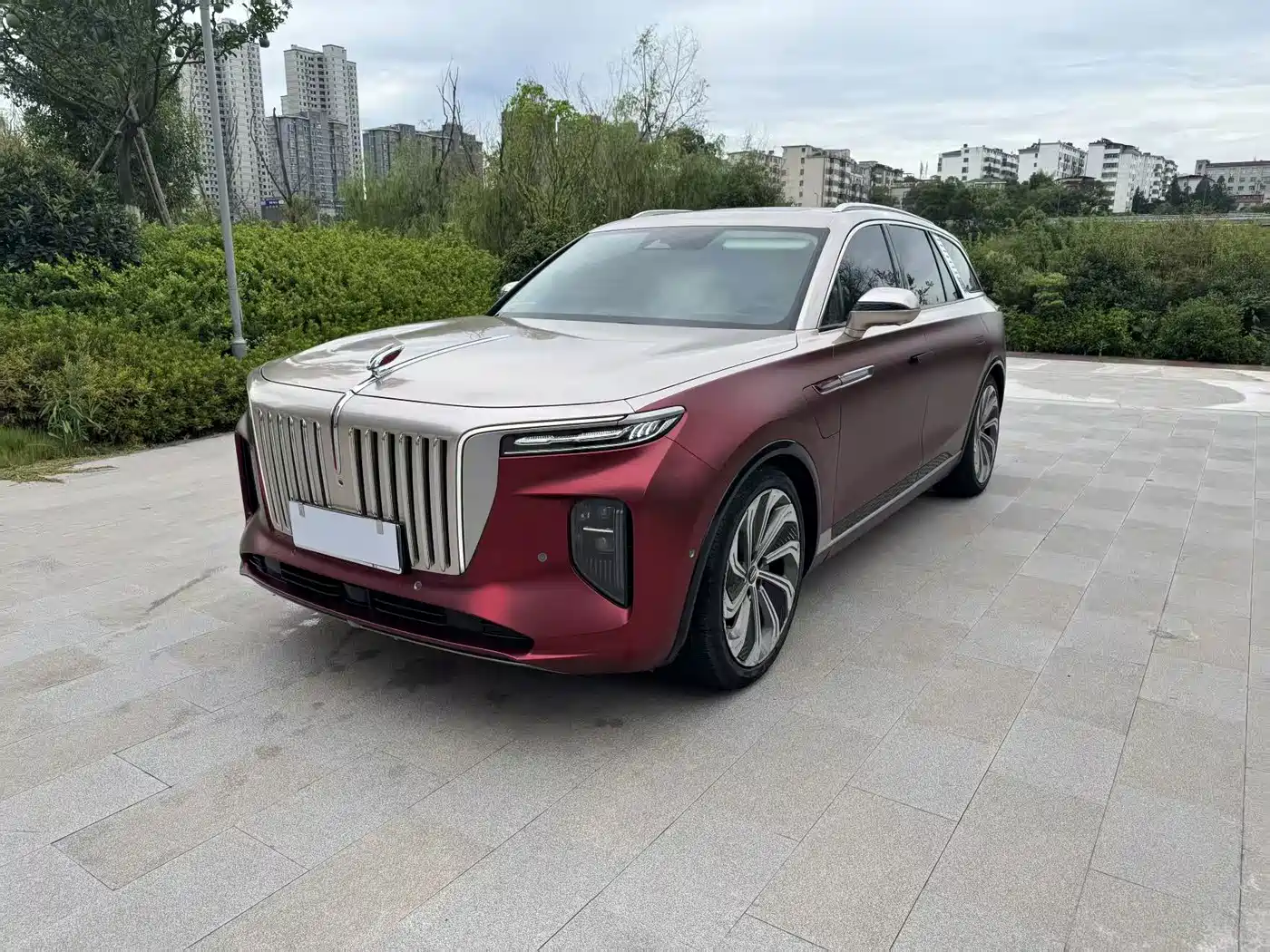Hongqi E-HS9