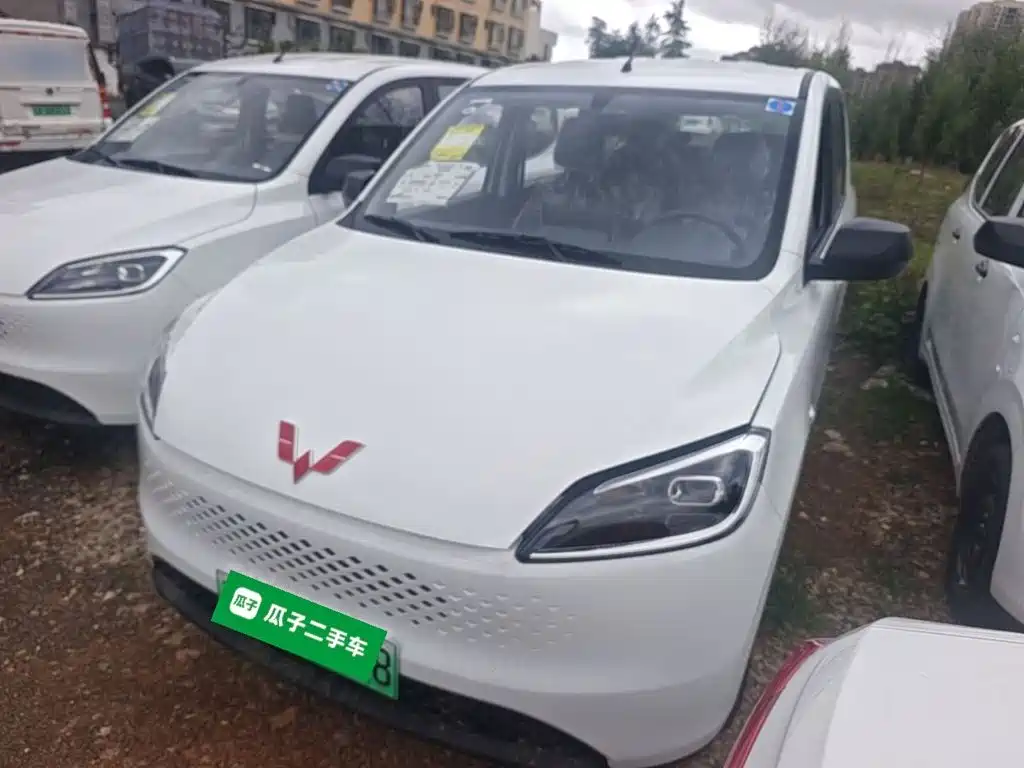 2026 Wuling Motors Wuling Hongguang New Energy
