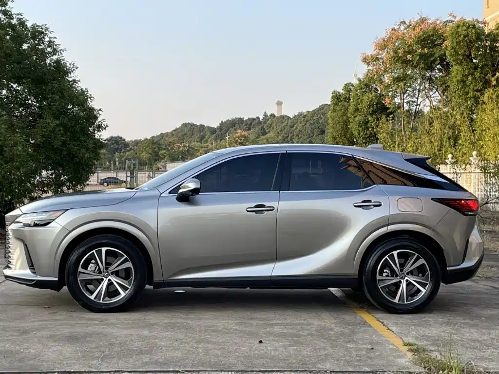 Фото 11 - Lexus RX
