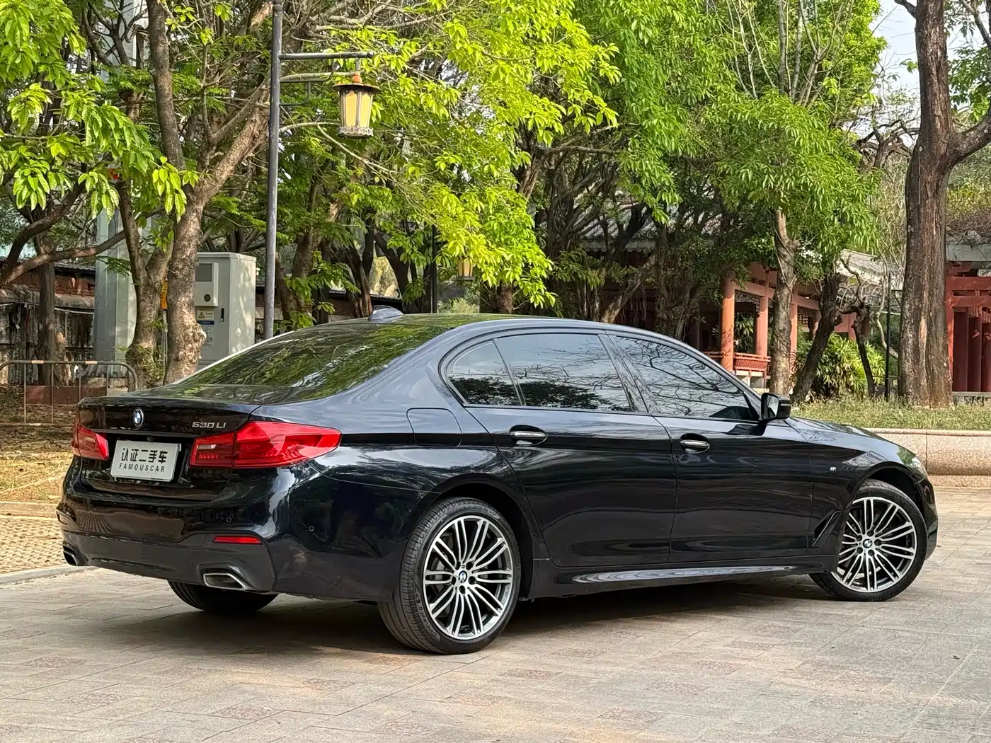 BMW 5 Series 2018 530Li Leading M Sport Package фото 20