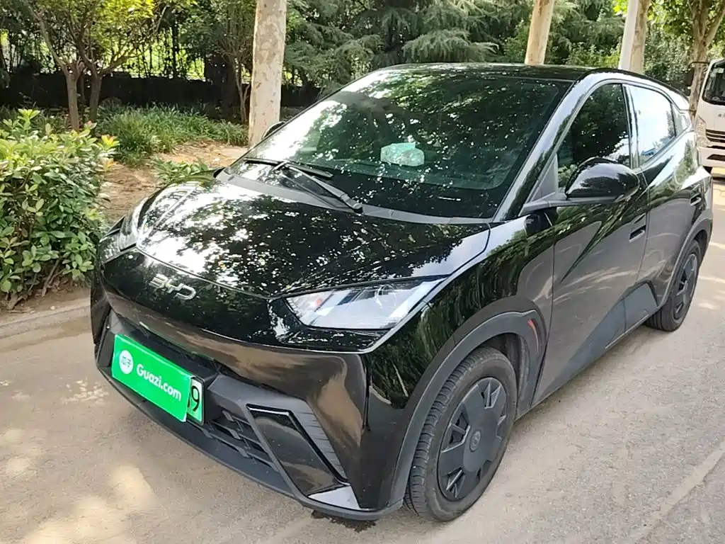 BYD Seagull 2025