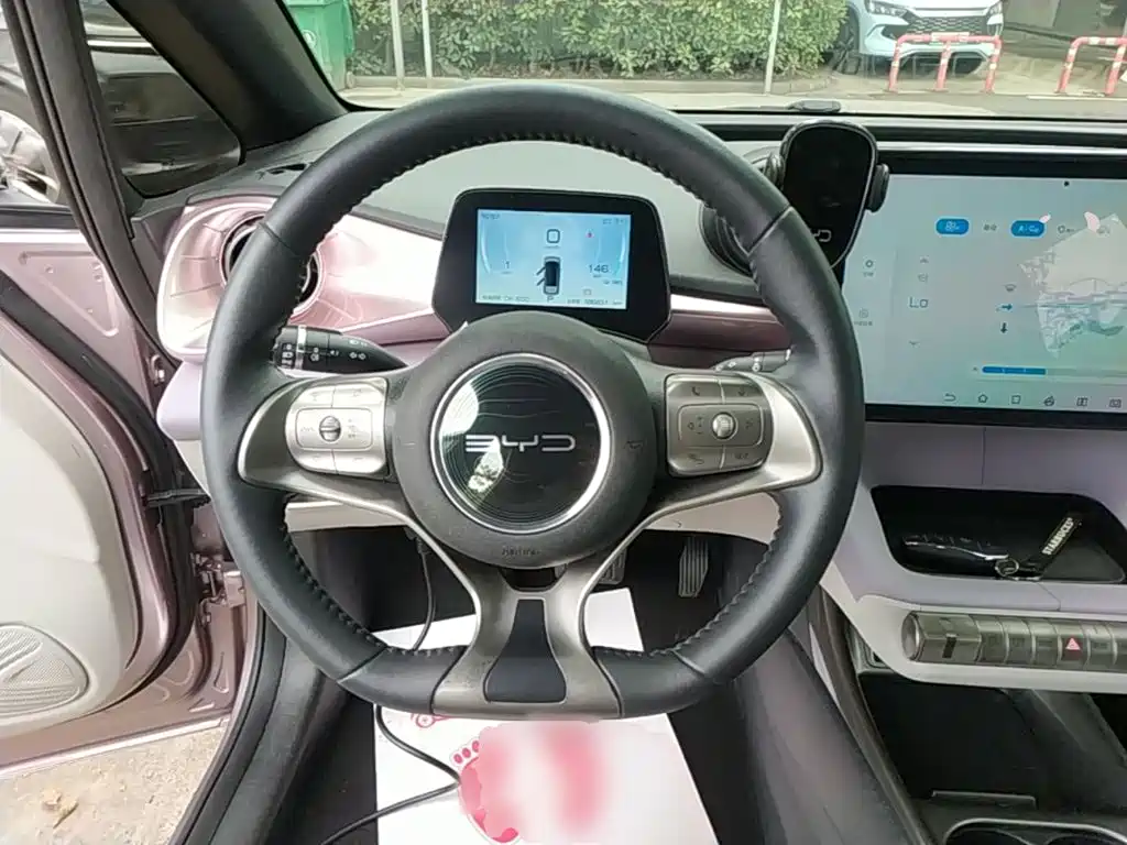 Photo 3 - BYD Dolphin