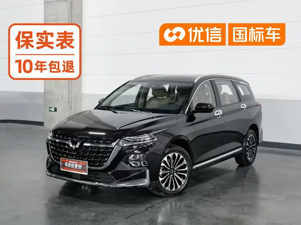 Wuling Motors Wuling Victory