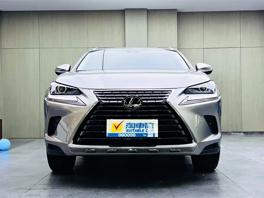 Lexus NX 2018 Model 300 AWD Fengshang Edition фото 2