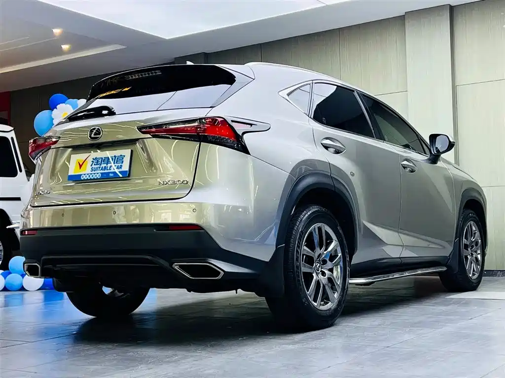 Lexus NX 2018 Model 300 AWD Fengshang Edition фото 4