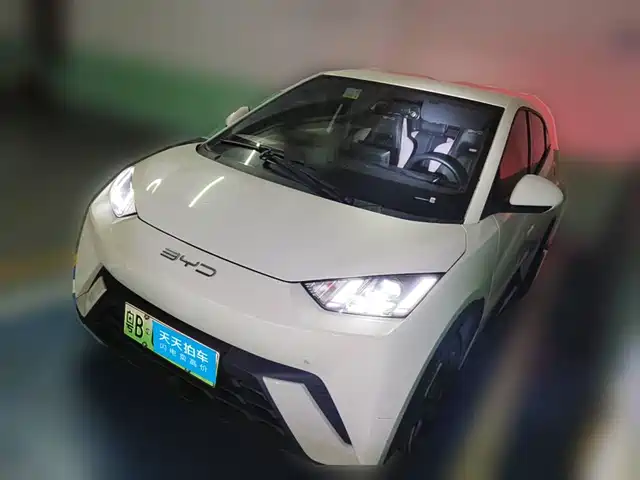 BYD Seagull 2024