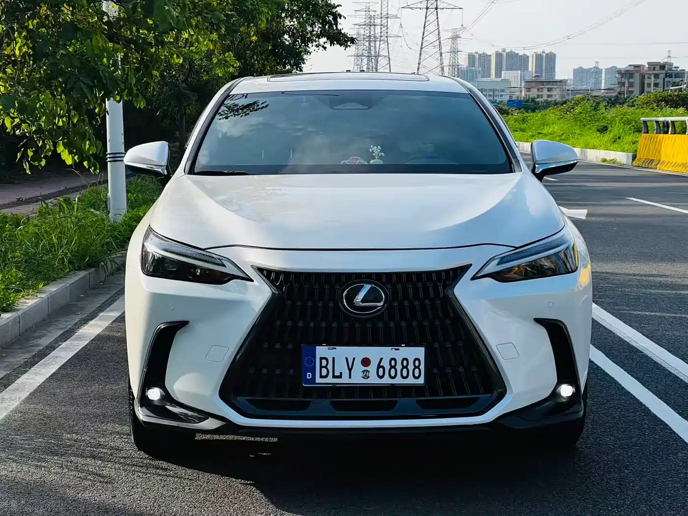 Lexus NX 2024 2024 260 FWD Joy Creation Edition