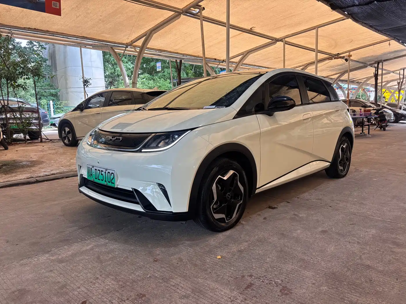 BYD Dolphin 2021