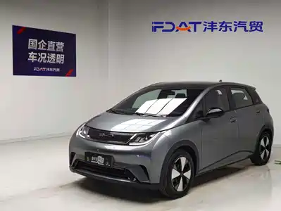 BYD Dolphin