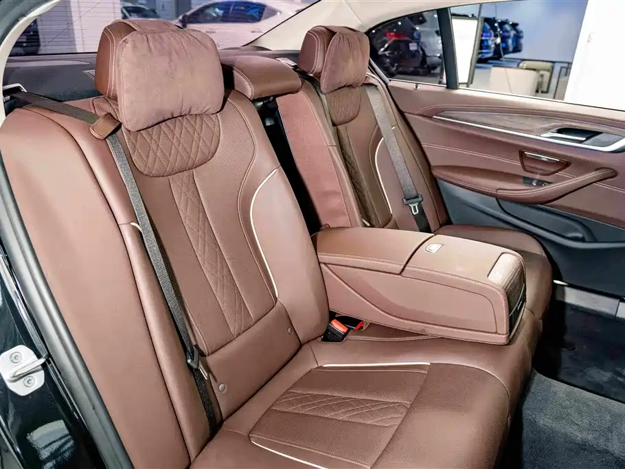 BMW 5 Series 2021 530Li Leading Luxury Package фото 21