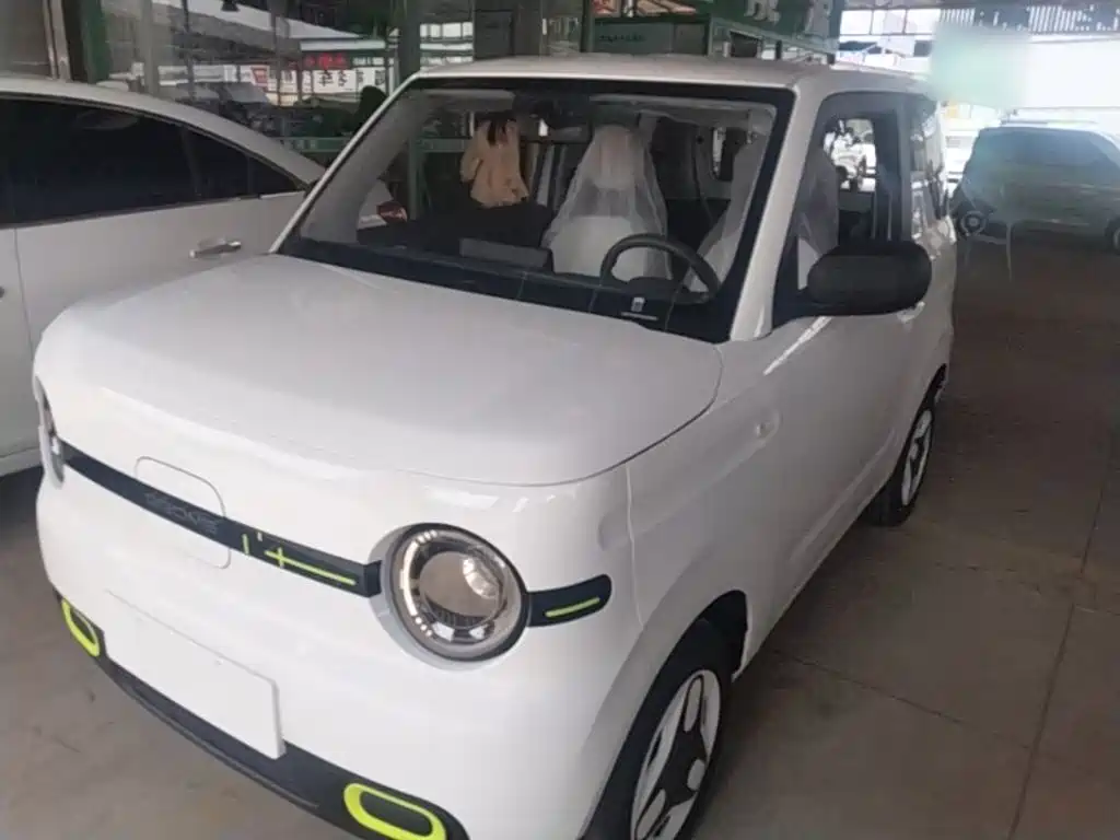 Geely Galaxy Panda 2025 Panda mini 210km Vitality Bear
