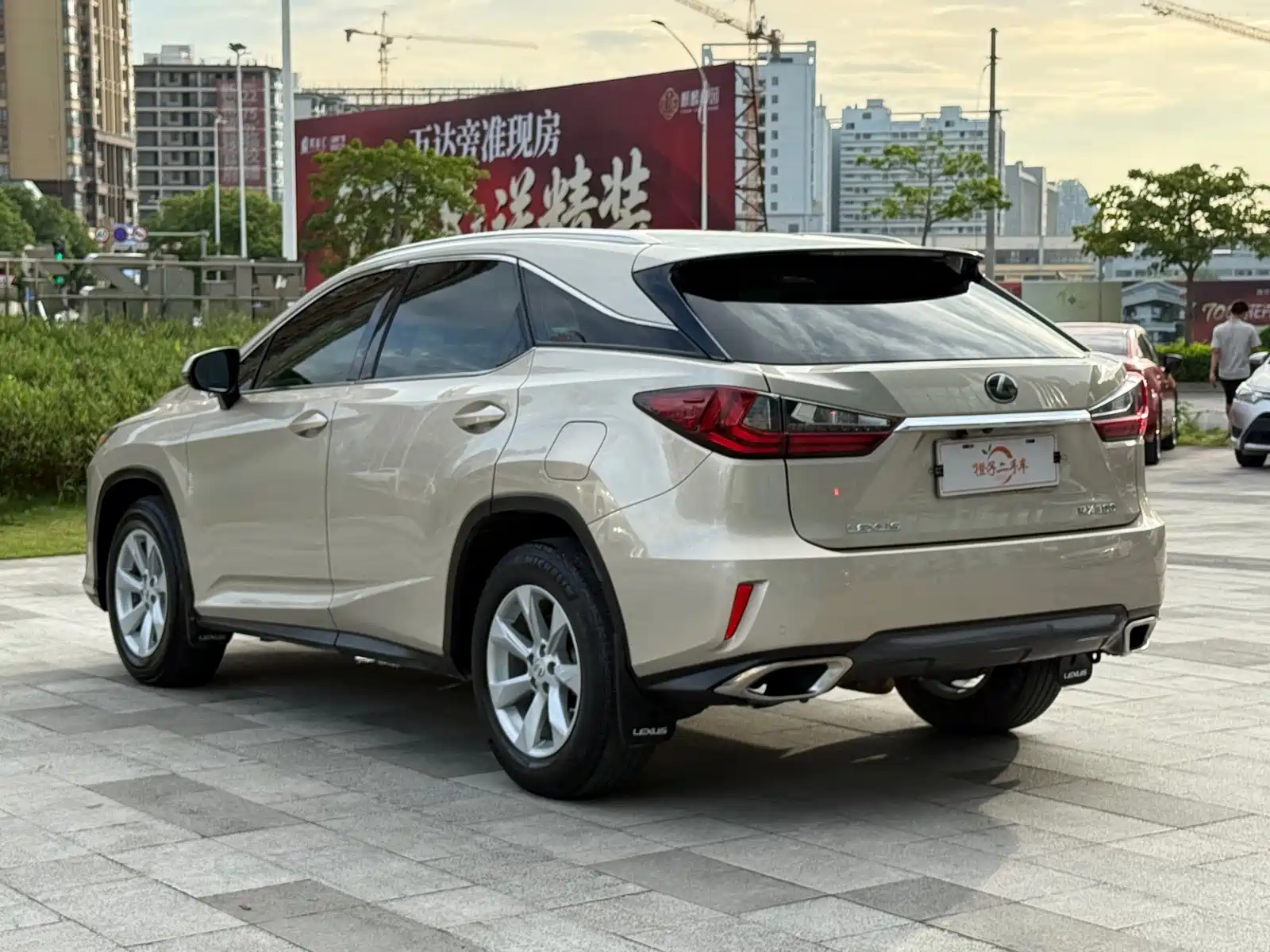 Фото 6 - Lexus RX