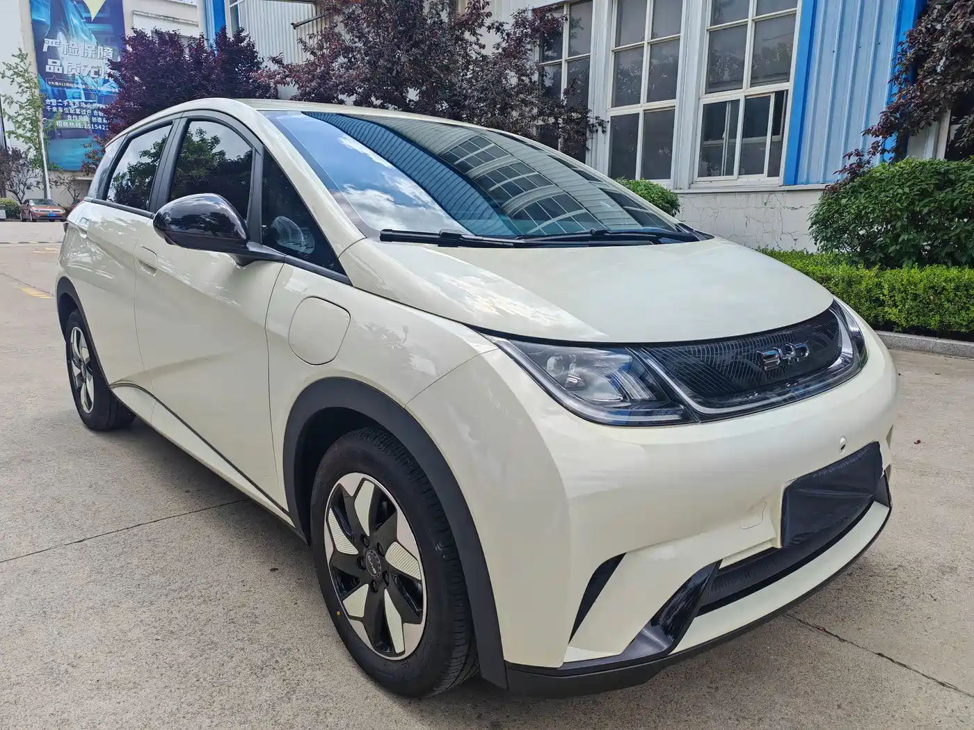 BYD Dolphin 2026 2025 420km Freedom Edition
