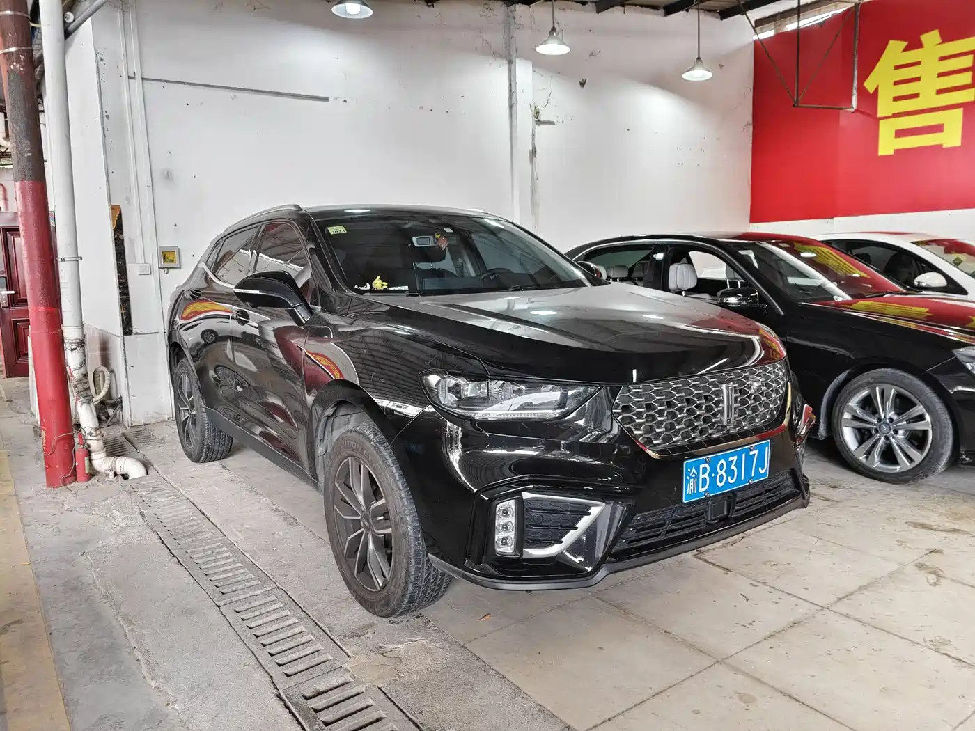 WEI PAI WEI BRAND VV5