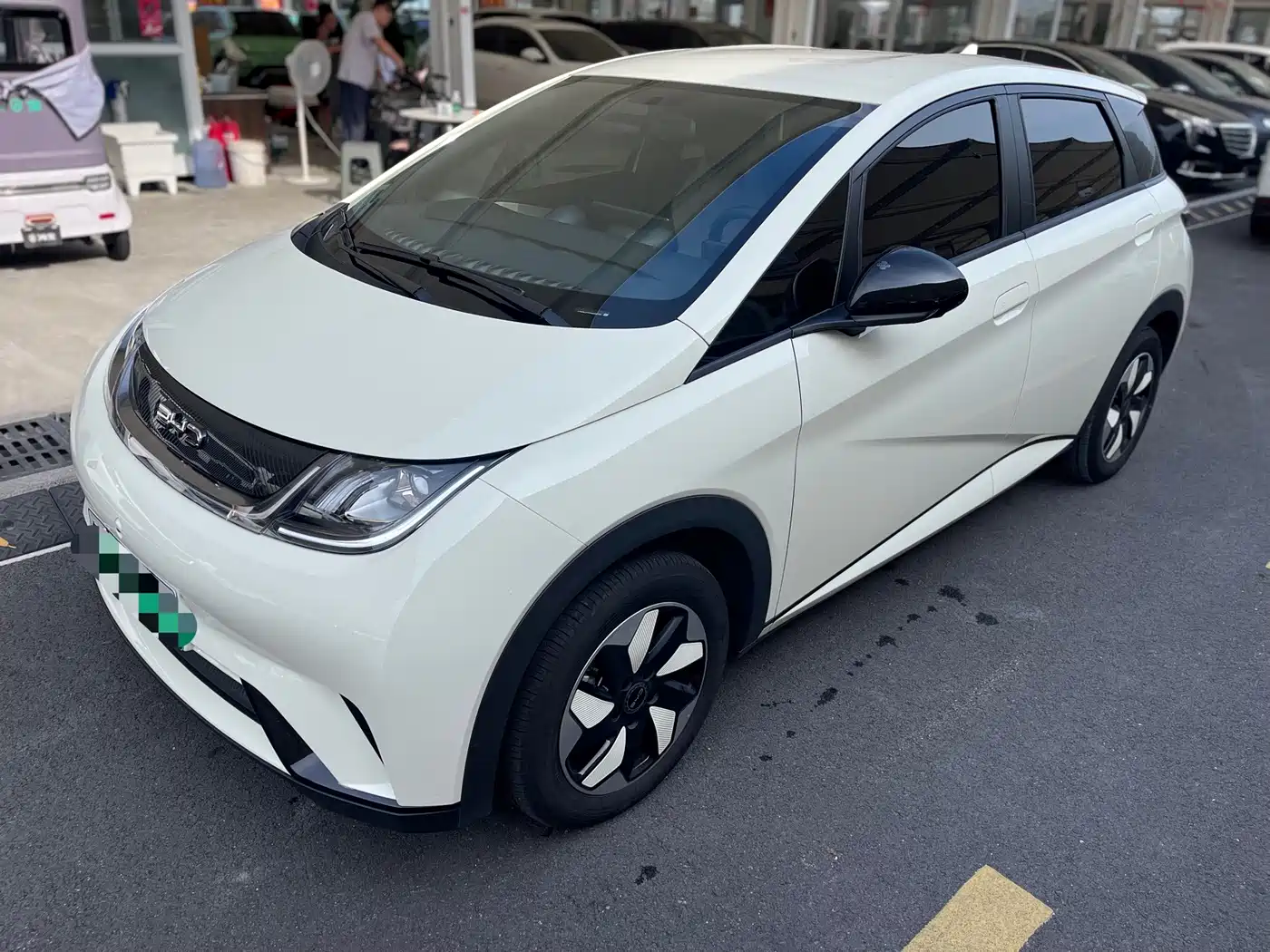 2026 BYD Dolphin
